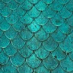 Meet your Posher, Jackolin